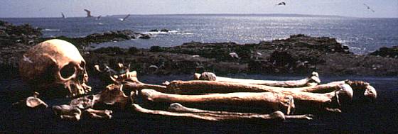 "Jersey, a Place in History" - Iron Age Skeleton