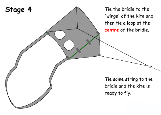 Stage 4