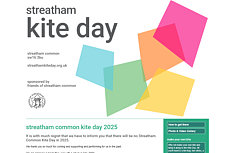 Streatham Kite Day
